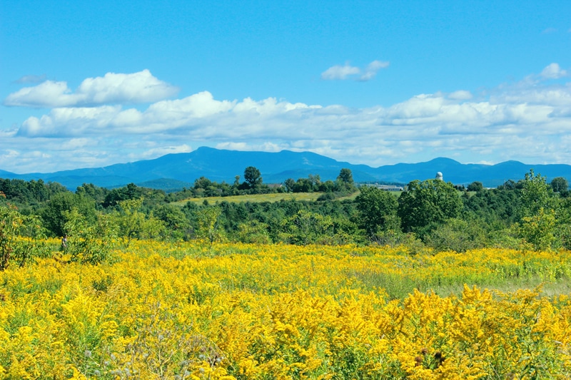 Mount Mansfield from South Burlington