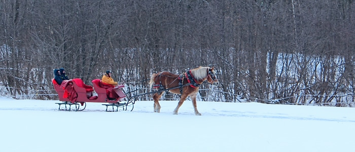 Vermont sleigh ride