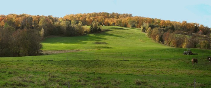 vermont field