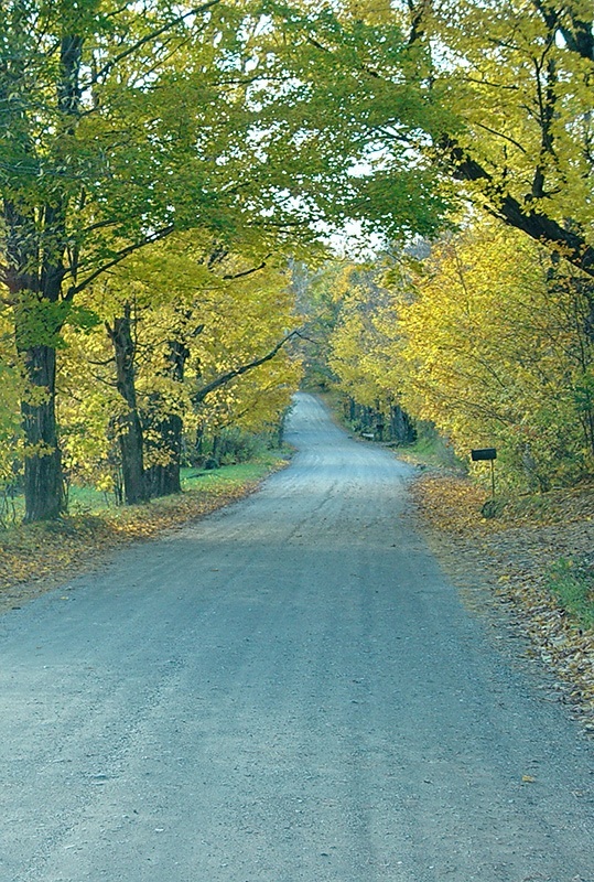 Vermont Dirt Road