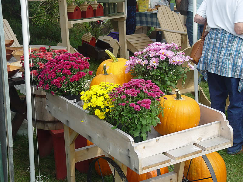 Discover Vermont's Terrific Underhill Harvest Festival