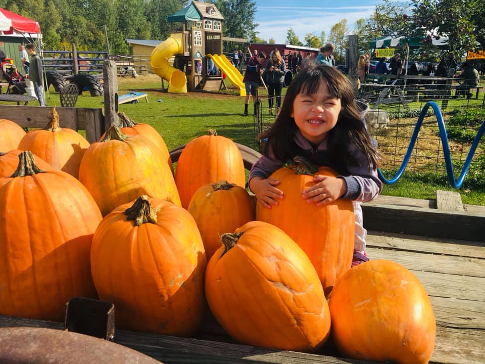 Pumpkins abound! Very best things to do in Vermont in the fall