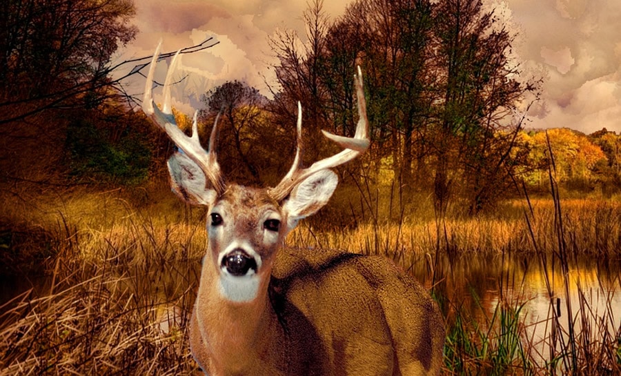 Vermont Hunting Season
