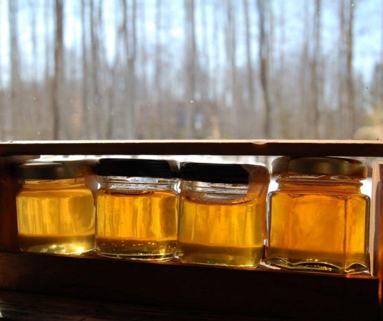 5 of the Best Vermont Maple Syrup Farms Vermont's Very Best