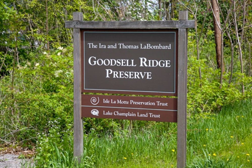 Goodsell Ridge