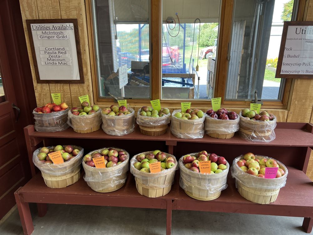 Vermont apple Orchard