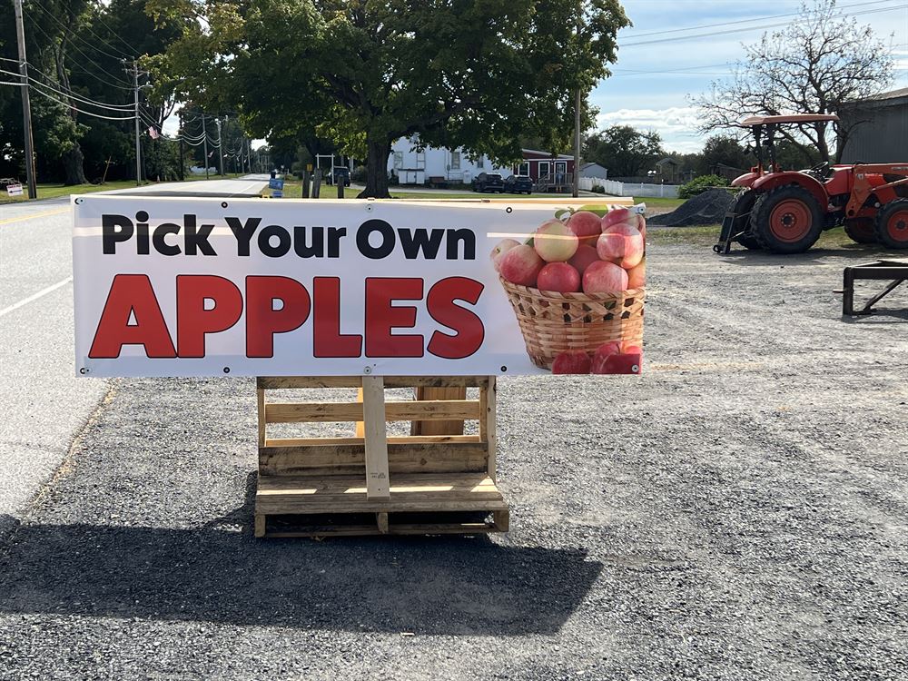 Pick Your Own Apples